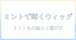 ドールのウィッグをミントで仕上げるコツ|グリーン系カラーで魅せるミントの魅力と選び方