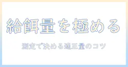 ドッグフードの量と測り方を徹底解説：適切な給餌量を決める方法