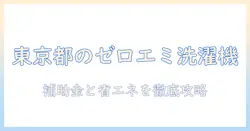 東京都でゼロエミッションを実現する洗濯機の補助金情報と省エネポイント