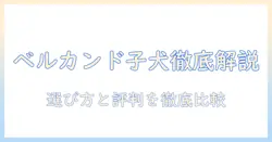 子犬のための belcando ドッグフード徹底ガイド:選び方と評判を徹底比較