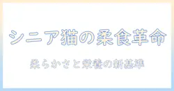 キャットフードで考えるシニア猫の柔らかい食事選びガイド