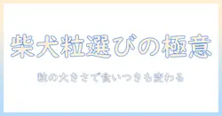 柴犬のためのドッグフード選び:粒の大きさで選ぶポイントと食いつき・消化の影響