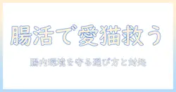 キャットフードと下痢止めの基本ガイド|愛猫の腸内環境を守る選び方と対処法