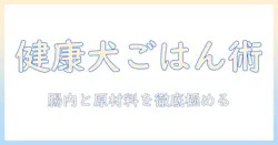 ドッグフードで健康的に愛犬を育てる選び方-完全ガイド