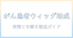 がん患者が知るべきウィッグ助成の実情と申請ガイド