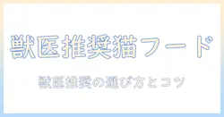 獣医がすすめる市販キャットフードの選び方とおすすめポイント