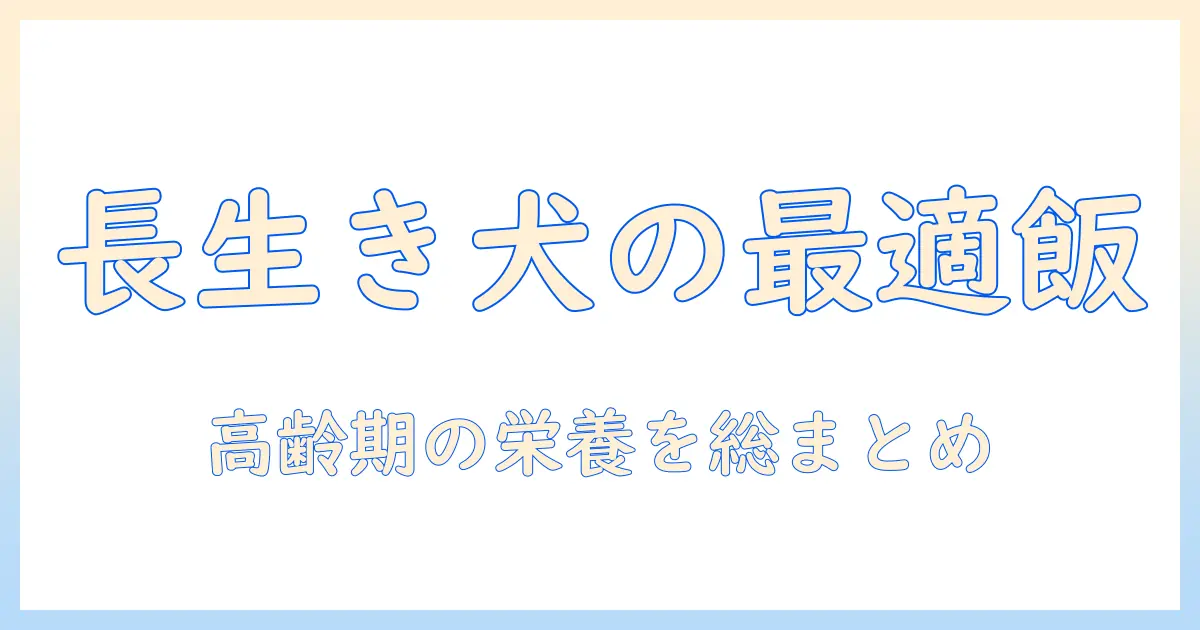 高齢の犬に最適なドッグフードを選ぶ—ファーストチョイス活用ガイド