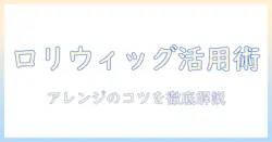 ロリィタ向けウィッグのアレンジ術とアレンジのコツ