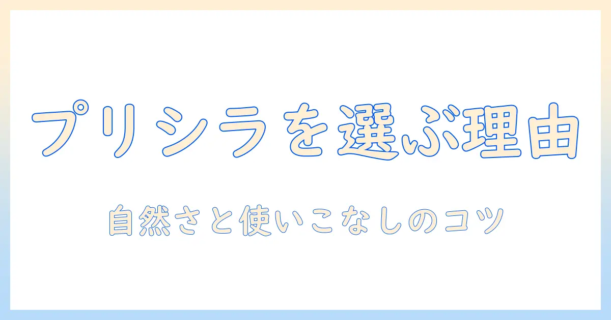 ハーフのウィッグをプリシラで選ぶ理由と使い方