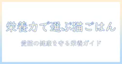 pro-nutritionを理解して選ぶキャットフード: 愛猫の健康をサポートする栄養ガイド