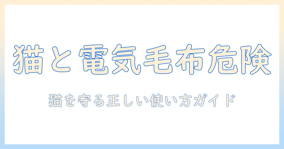 猫と電気毛布の危険を徹底解説！安全な使い方と注意点