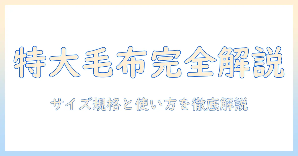電気毛布のビックサイズを徹底解説！選び方とおすすめモデル