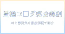 豊橋の平川・本町のコメダ珈琲店で味わうメニューと店舗情報を詳しく解説