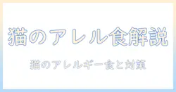 キャットフードとアレルギー症状の関係を解説｜猫の健康を守るためのポイントと対策
