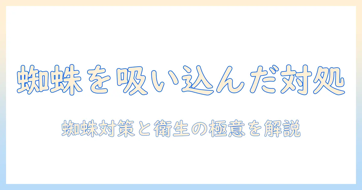 掃除機で蜘蛛吸ったときの対処法と衛生管理のコツ