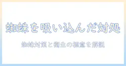 掃除機で蜘蛛吸ったときの対処法と衛生管理のコツ