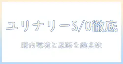 ロイヤル カナン ドッグフード ユリナリー s o ライト 1 キログラム を徹底比較：愛犬の健康を守るための選び方