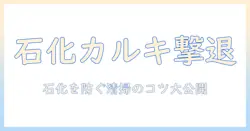 加湿器のカルキを削る石化対策：石化を防ぐ清掃の手順とコツ