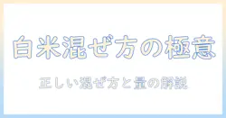 犬の白米とドッグフードを混ぜる量の基礎知識|愛犬の健康を守る正しい混ぜ方と量