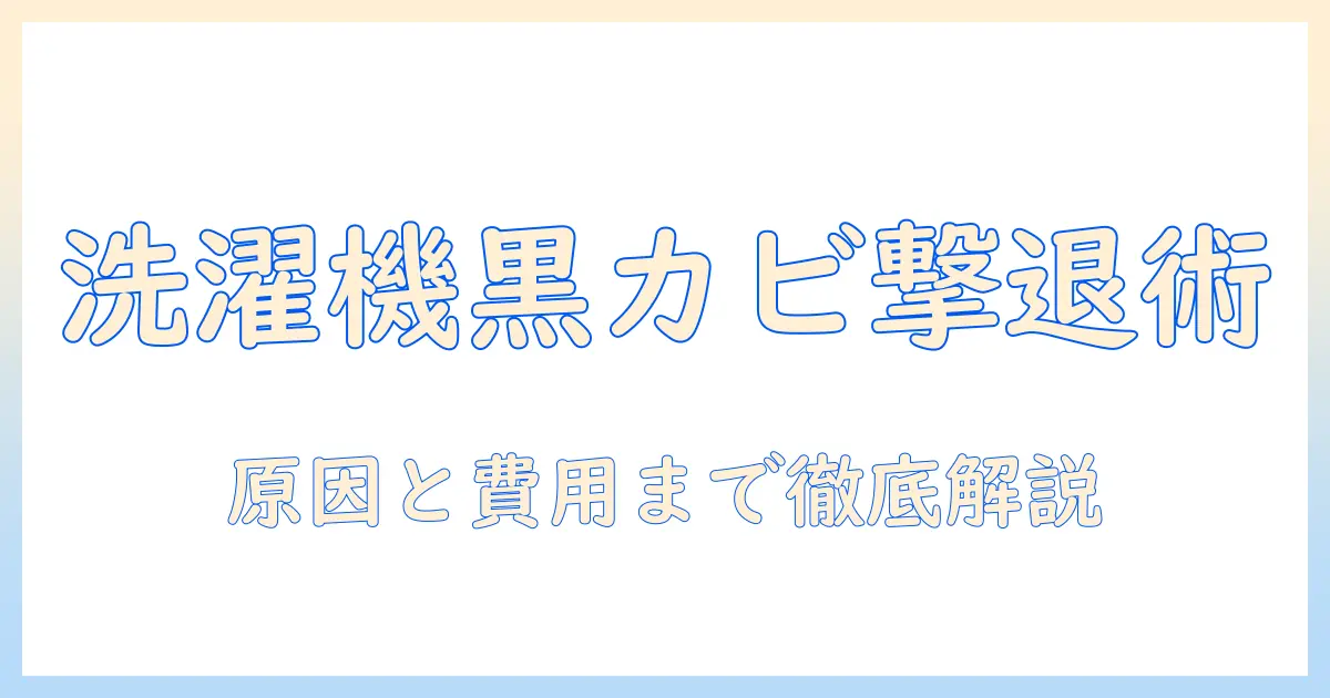 洗濯機の黒カビ対策と買い替えの判断基準—原因と対策・費用を徹底解説