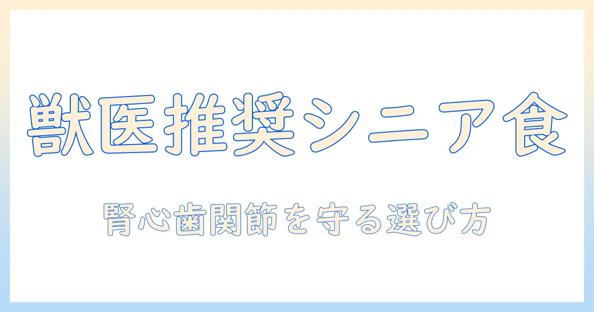 獣医が教えるシニア犬のためのおすすめドッグフード