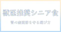獣医が教えるシニア犬のためのおすすめドッグフード