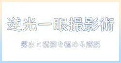 逆光の写真を一眼レフで撮る撮り方ガイド