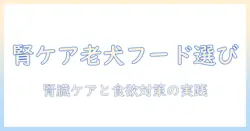 老犬の腎臓病に配慮したドッグフード選びと、食べないときの対処法
