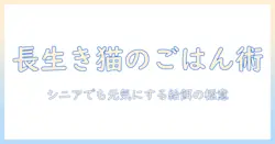 キャットフードのシニア用と通常の違いを徹底解説|高齢猫に適した選び方とポイント