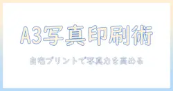 a3プリンターを家庭用で活用する写真印刷ガイド：自宅で高品質な写真をプリントするコツ