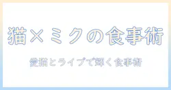 キャットフード選びのコツと初音ミクのライブを楽しむ猫好き女性のためのガイド
