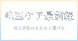 キャットフードで毛と玉のケアを実現！おすすめの選び方と毛玉対策ガイド