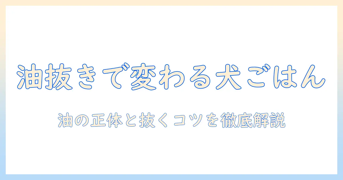 ドッグフードと油の関係を解説｜油を抜く方法と抜き方の注意点
