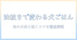 ドッグフードと油の関係を解説｜油を抜く方法と抜き方の注意点