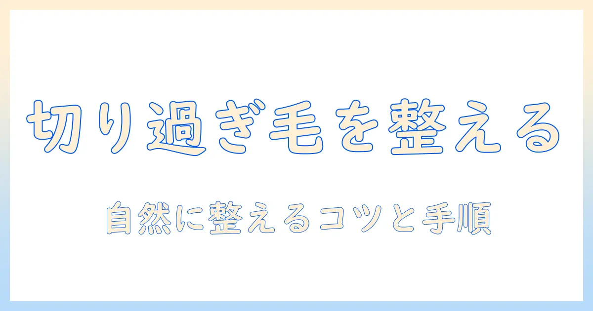 ウィッグの切りすぎた毛束を自然に整える方法とコツ