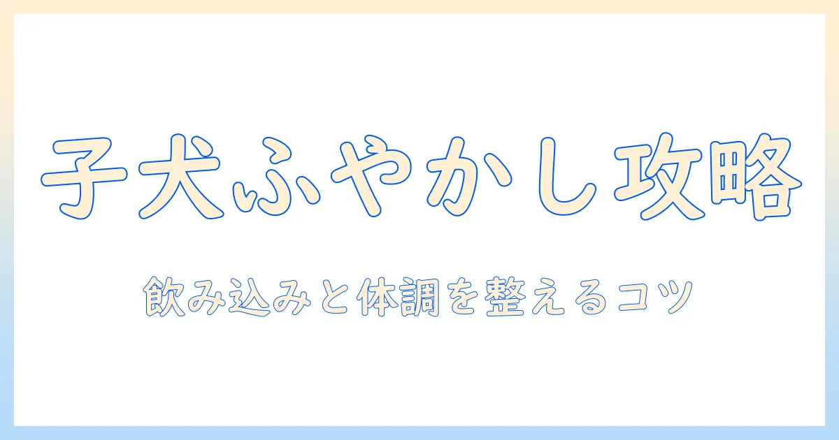 子犬のドッグフードをふやかすのはいつまで？適切なふやかし方と注意点を解説