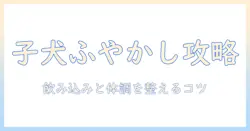 子犬のドッグフードをふやかすのはいつまで?適切なふやかし方と注意点を解説