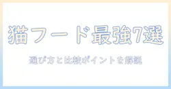 キャットフードの通販でおすすめはこれ!選び方と比較ポイント