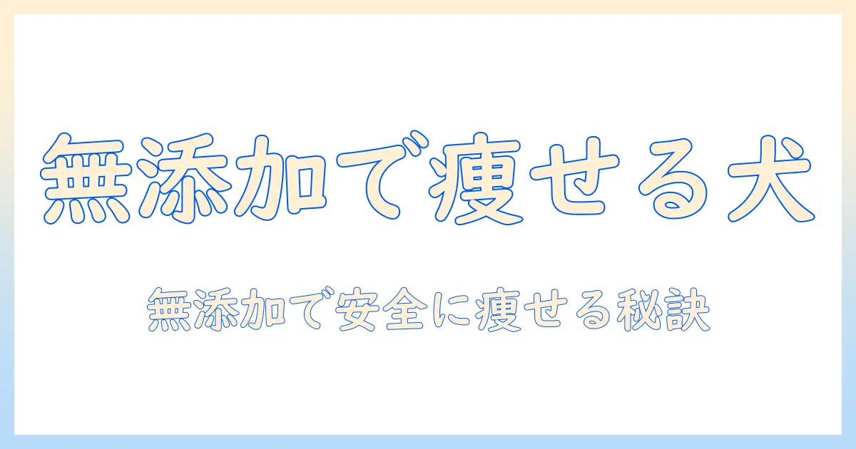 ドッグフードでダイエットを成功させる無添加の選び方とポイント