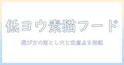 ヨウ素が少ないキャットフードとは?飼い主が知っておくべき選び方と注意点
