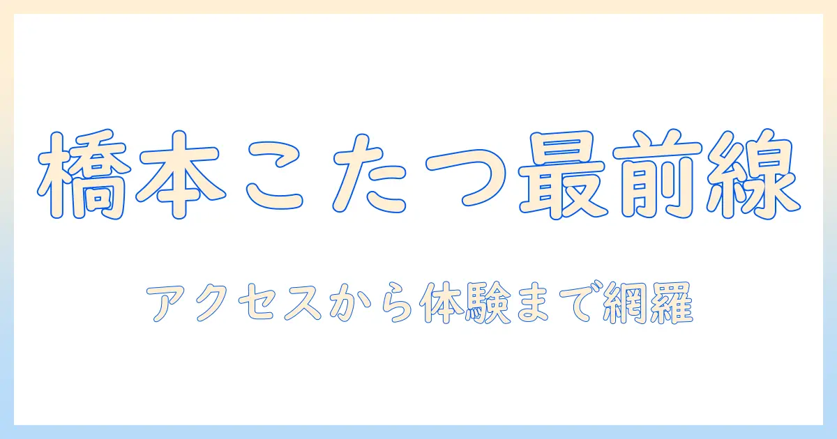 橋本で楽しむこたつカフェ徹底ガイド:アクセス・メニュー・体験レポ