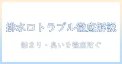 洗濯機の排水口・トラップ・パッキンを徹底解説:詰まり・臭い・水漏れを防ぐ基本と対処法