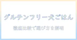 ドッグフードとグルテンフリーのおすすめを徹底比較｜犬の健康を守るための選び方とポイント