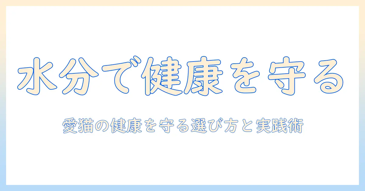 キャットフードと水分補給を両立させる最新ガイド｜愛猫の健康を守る選び方と実践術