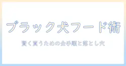 amazonのブラックフライデーでドッグフードをお得に買う方法｜賢い選び方とおすすめブランドを解説