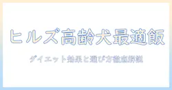 ヒルズのサイエンス・ダイエット プラスで探るシニア犬向けドッグフードの選び方とダイエット効果