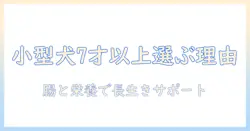 ヒルズのサイエンスダイエット ドッグフード 小型犬用 シニア 7歳以上を選ぶ理由と選び方