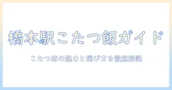 橋本駅でランチを楽しむには?こたつ席がある店を徹底ガイド