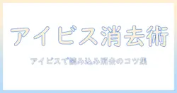 アイビスで写真の読み込みから消すまで：ペイント風編集の基本と実践ガイド