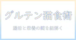 キャットフードとグルテンフリーとは:愛猫の健康を左右する意味と選び方
